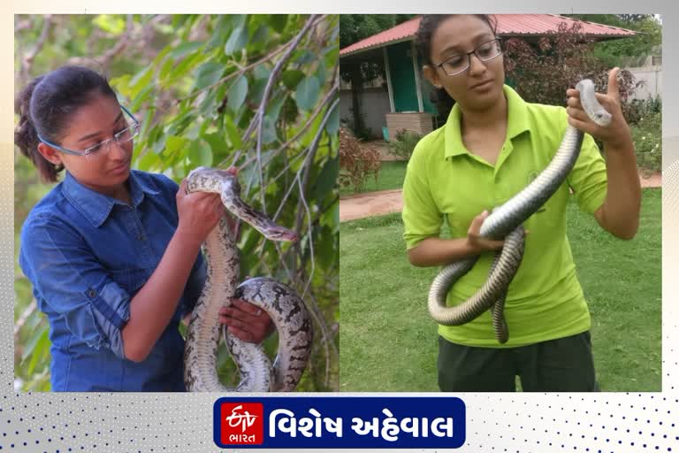 rescued more than 50 snakes by hina chavda in rajkot