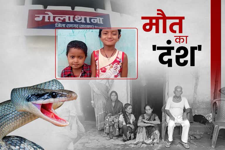 two-children-died-of-same-family-by-snake-bite-in-ramgarh