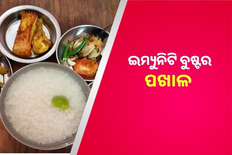 ରୋଗ ସହ ଲଢୁଛି ଇମ୍ୟୁନିଟି ବୁଷ୍ଟର ‘ପଖାଳ’