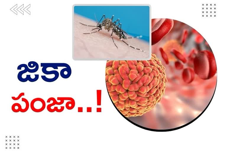 kerala zika virus