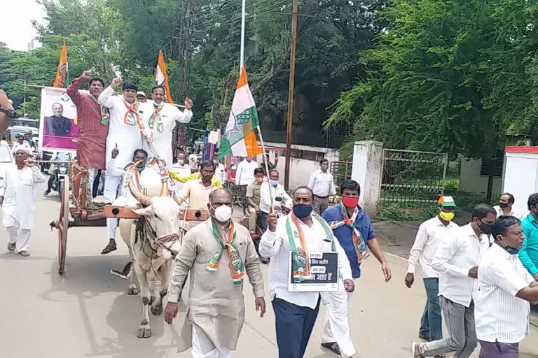 सोलापुरात काँग्रेसची बैलगाडी रॅली