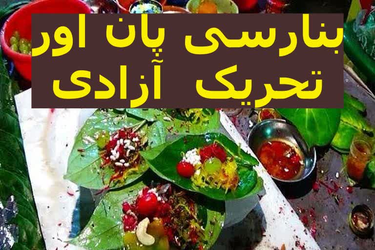 بنارسی پان اور آزادی کی لڑائی کا تعلق