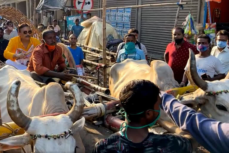 Madan Mitra on cart to protest petrol diesel price hike