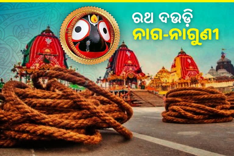 ନାଗରାଜ ବାସୁକିଙ୍କ ସହ ରଥ ଟାଣନ୍ତି ଶଙ୍ଖଚୂଡ଼ ଓ ସ୍ବର୍ଣ୍ଣଚୂଡ଼ ନାଗୁଣୀ