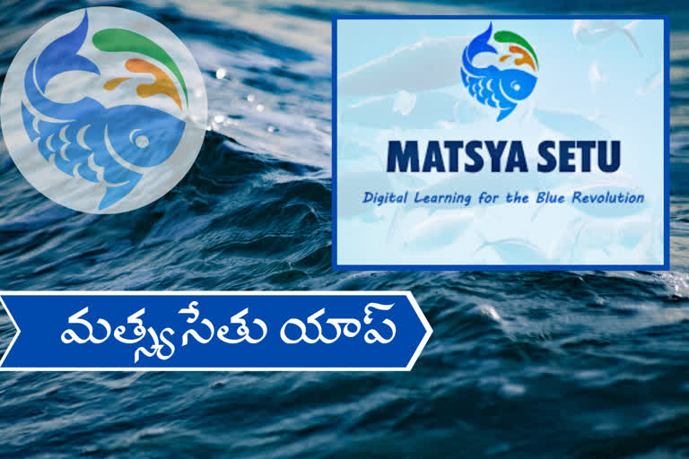 matsya-setu-application-helps-farmers-to-improve-fisheries-production