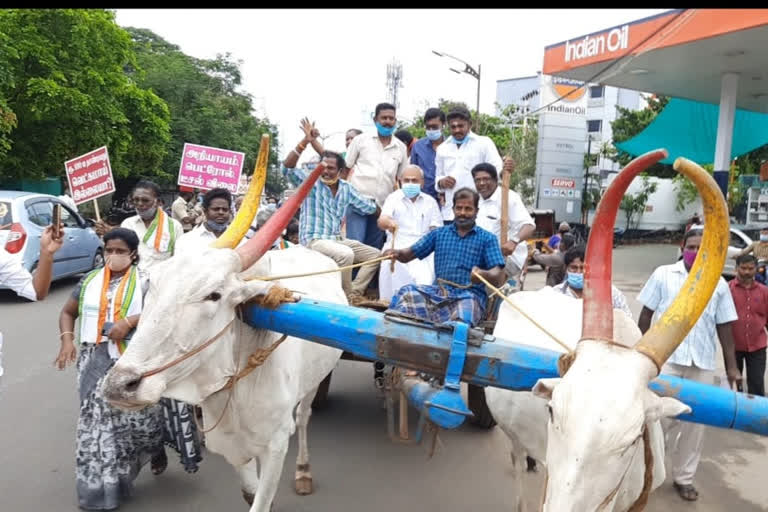 மாட்டு வண்டியில் பயணம் செய்த எம்பி