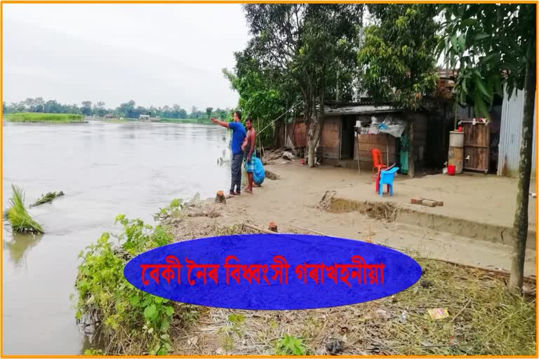 Erosion by Beki River At Kalgachia, Barpeta District