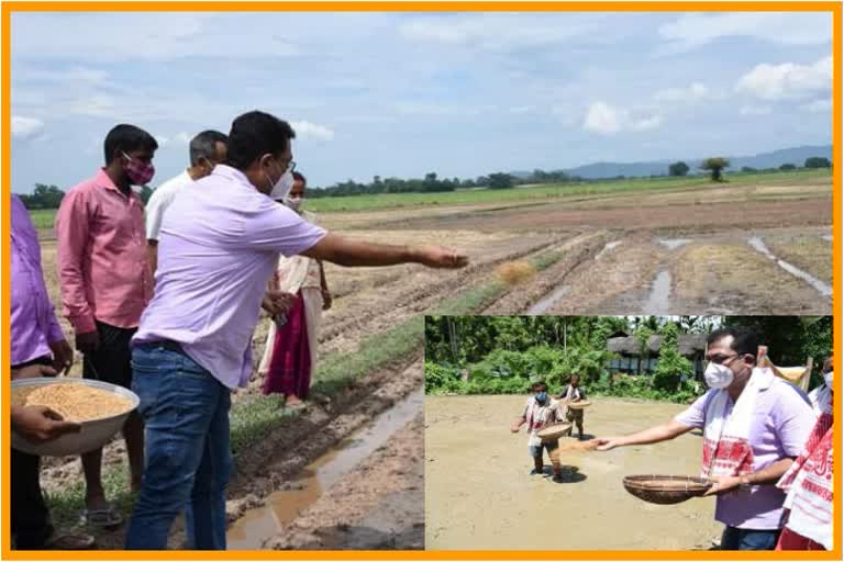 mla roopak sharma busy with people of nagaon constituency