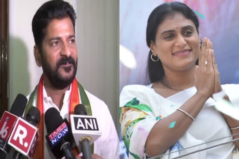 YS Sharmila's new party nothing more than NGO, says Telangana Cong chief  ys sharmila new party  ysr telengana party  NGO  Telangana Cong chief revanth reddy  വൈ എസ് ആർ തെലങ്കാന 'വെറും ഒരു എന്‍ജിഒ': രേവന്ത് റെഡ്ഡി  വൈ എസ് ആർ തെലങ്കാന  തെലങ്കാന പ്രദേശ് കോൺഗ്രസ് കമ്മിറ്റി മേധാവി രേവന്ത് റെഡ്ഡി