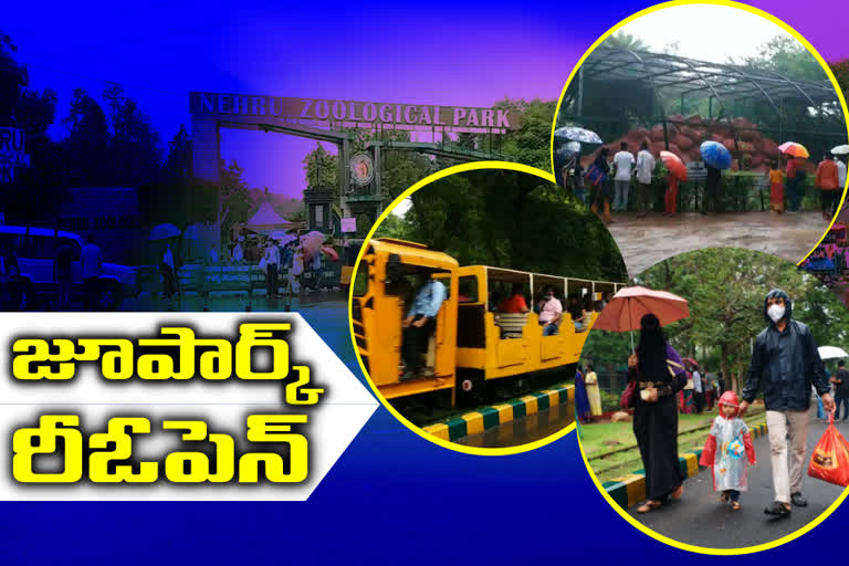 ZOO PARK: నెహ్రూ జూపార్క్‌లో మొదలైన పర్యాటకుల సందడి