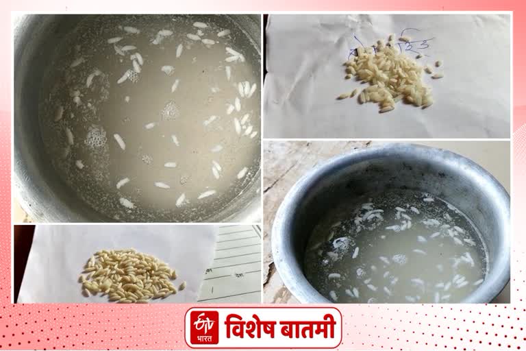 Plastic rice in school Mid day meal