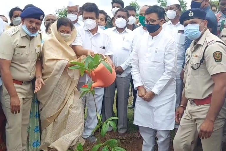 महसूलमंत्री बाळासाहेब थोरात