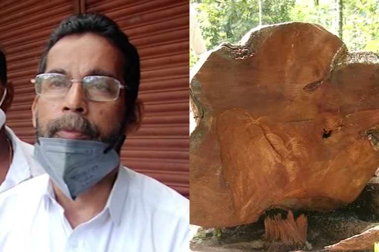 cutting trees  kerala tree cutting news  kerala tree cutting laws  കേരളത്തിലെ മരംമുറി വിവാദം  എറണാകുളം മരം മുറി വിവാദം  കുട്ടമ്പുഴ മരം മുറി വിവാദം