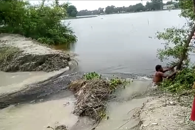 मोतिहारी में सोमवती नदी का टूटा बांध