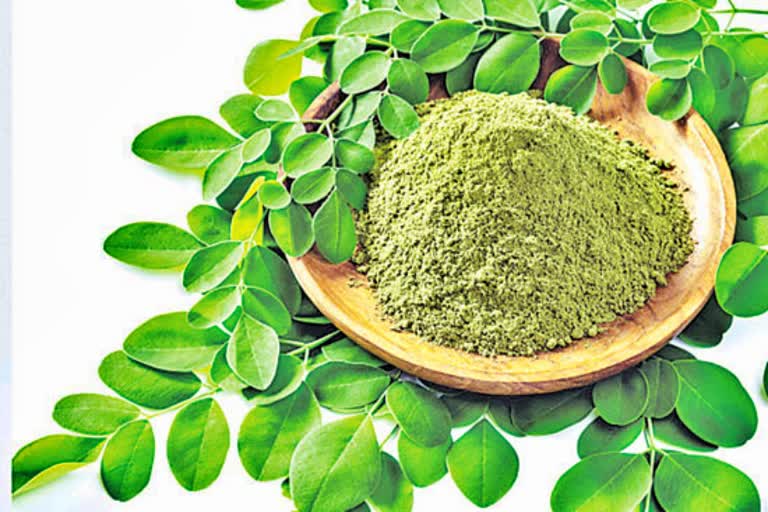 MORINGA