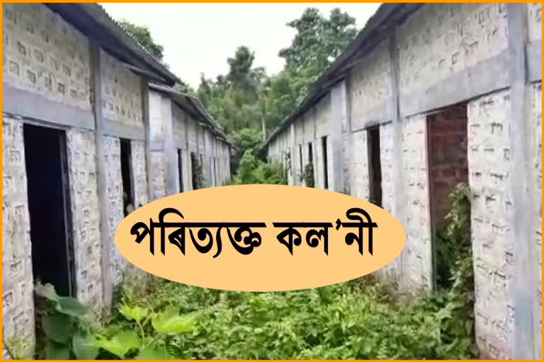 poor condition of iay colony in samaguri