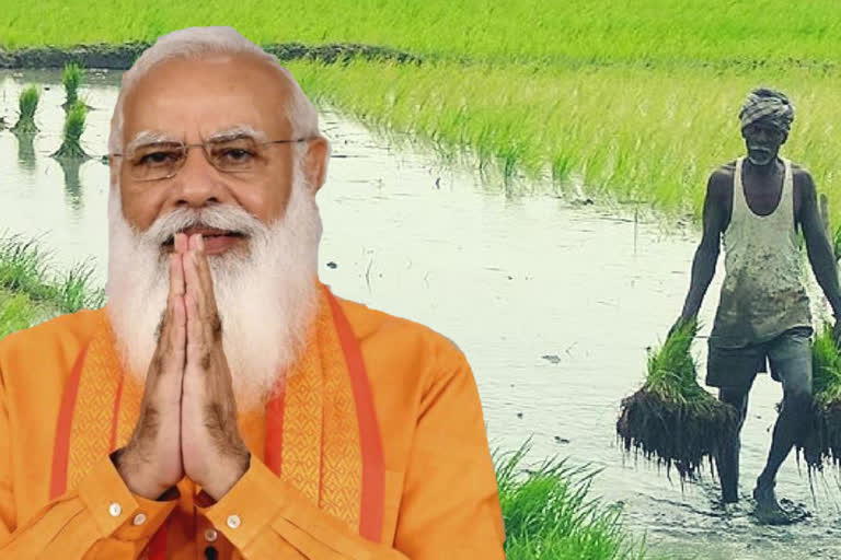 pm-narendra-modi-emphasize-on-post-harvest-revolution-in-agriculture-sector