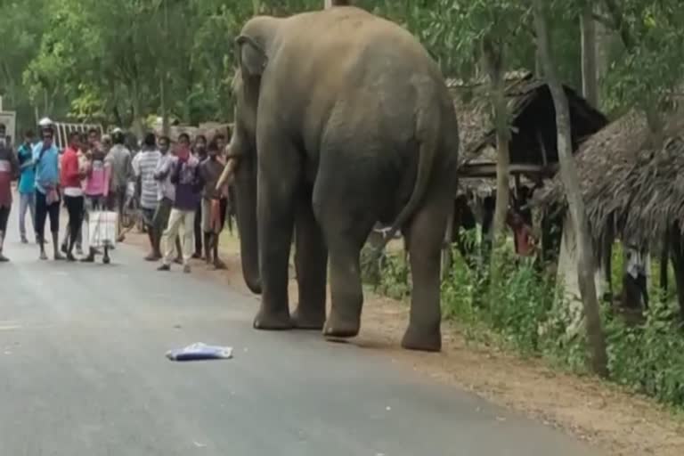 ଦନ୍ତା ଉତ୍ପାତ, ରାସ୍ତାରେ ଅଟକି ରହିଲା ଶହ ଶହ ଗାଡି