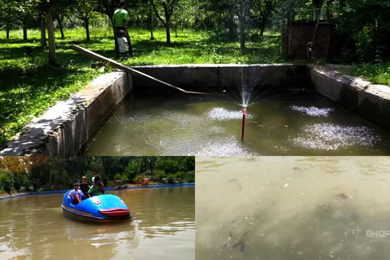 Unique fish Farming in south kashmir ബോട്ടിങ്ങും മത്സ്യഫാമും തെക്കൻ കശ്മീരിലെ വിനോദ കേന്ദ്രങ്ങൾ Tourist spots in south kashmir