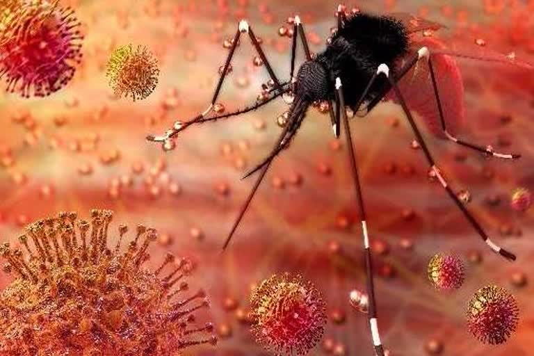 zika virus; kerala proposes action plan today  action plan  kerala  zika virus  thiruvananthapuram  സിക വൈറസ്; കേരളം ഇന്ന് പ്രത്യേക കർമ്മ പദ്ധതിയ്ക്ക് രൂപം നൽകും  സിക വൈറസ്  ഇന്ന് പ്രത്യേക കർമ്മ പദ്ധതി  തിരുവനന്തപുരം