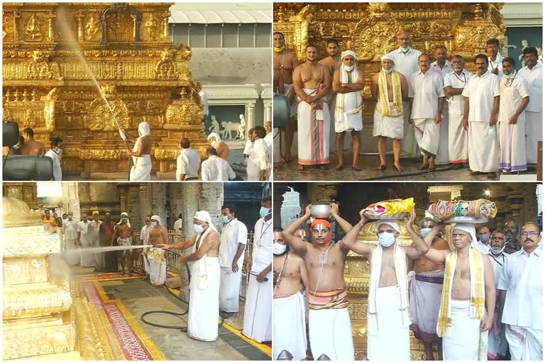 koilalwar tirumanjanam at tirumala