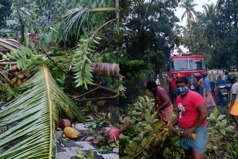 Heavy rain  extensive damage  heavy-rain-in-kerala  -yellow-alert  എറണാകുളത്ത്‌ കനത്ത മഴ  വ്യാപകമായ നാശനഷ്ടം