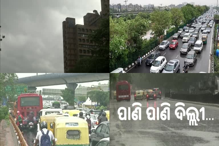 Delhi Rain