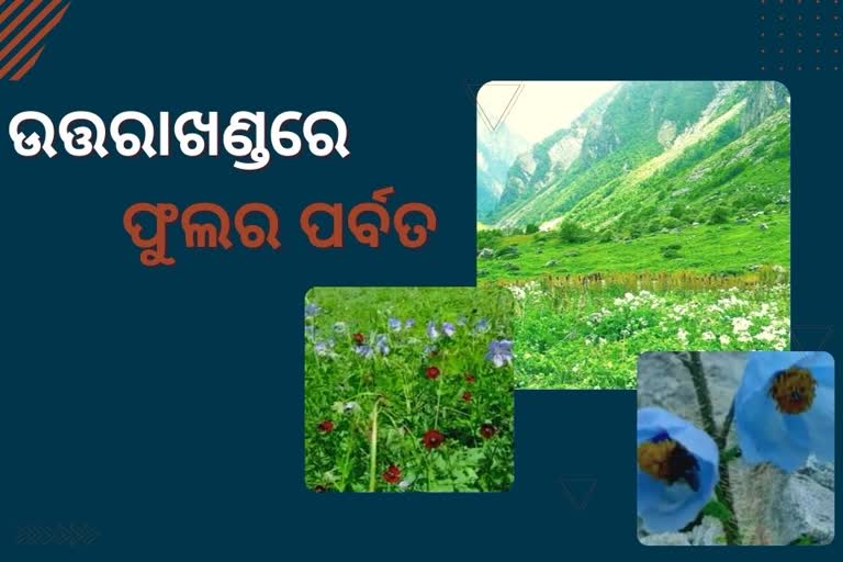 ପରି ରାଇଜର ପର୍ବତ, ଥରେ ଗଲେ ଫେରିବାକୁ ଇଚ୍ଛା ହେବନି