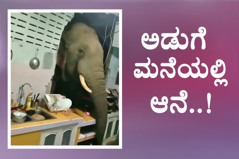 Wild elephant smashes through kitchen wall in search for snacks