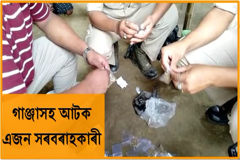 One Ganja peddler arrested By Police at Lahowal, Dibrugarh District