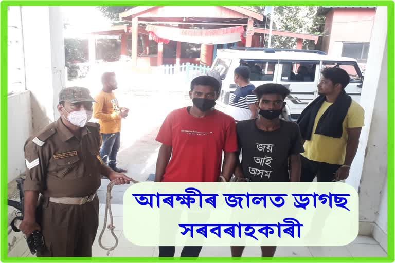 two-drugs-peddler-arrested-at-barpeta