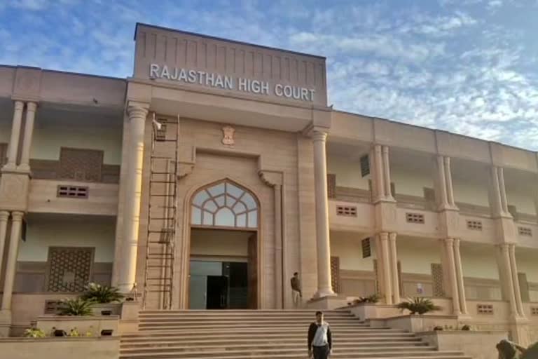 opium cultivation case,  Rajasthan High Court Order