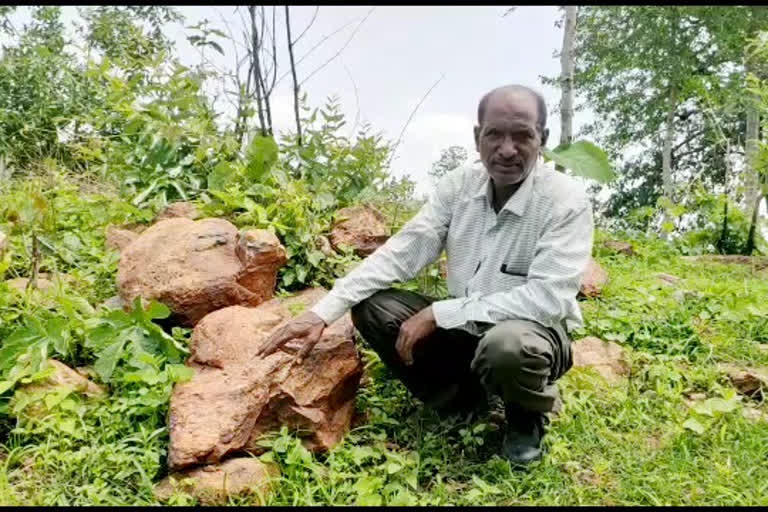 Environmental practitioners yavatmal