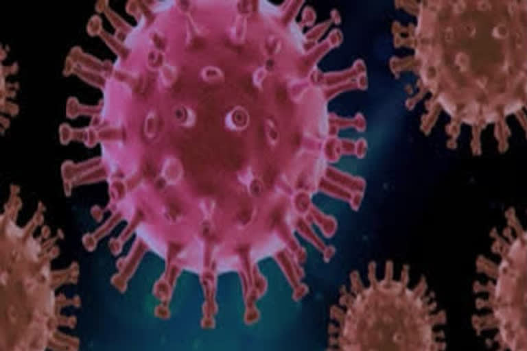 coronavirus