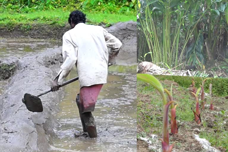 Farmers want more soil testing centers in Idukki  ഇടുക്കിയില്‍ കൂടുതല്‍ മണ്ണ് പരിശോധനാകേന്ദ്രങ്ങള്‍ വേണം  ഇടുക്കി  കര്‍ഷകര്‍  മണ്ണ് പരിശോധനാകേന്ദ്രം  idukki news  ഇടുക്കി വാര്‍ത്ത