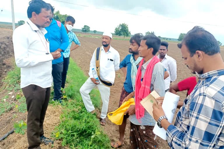 పొలం గట్టు సరిహద్దు వివాదాన్ని పరిష్కరించిన తహసీల్దార్