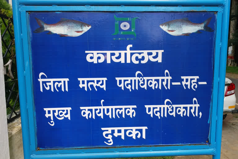 Fish Farming by biofloc technology in dumka, subsidy for fish farming
