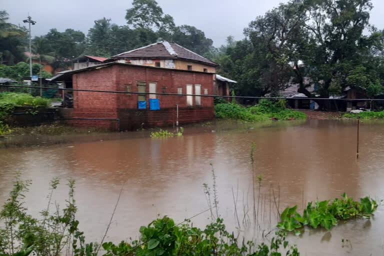 शेती बागायती पाण्याखाली