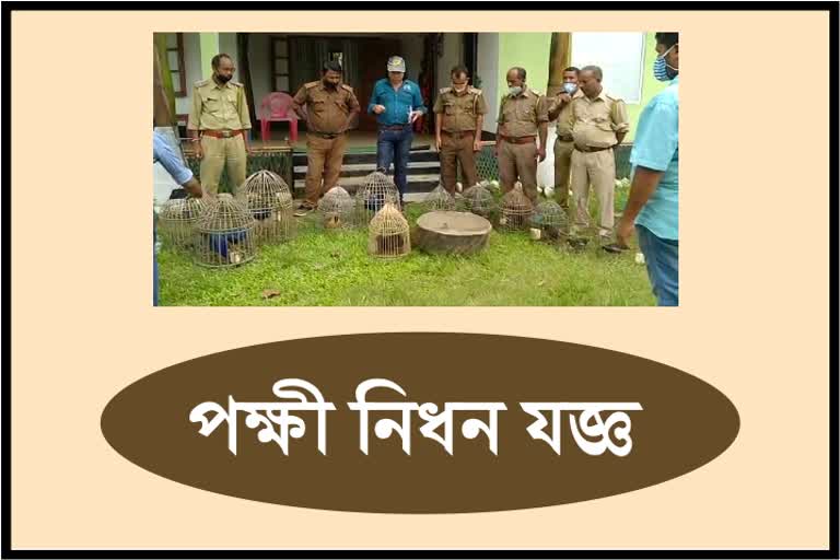 large-numbers-of-wild-birds-seized-by-ranger-at-morigaon