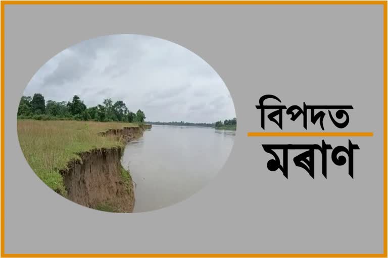 large-scale-soil-erosion-in-different-areas-of-burhidihing-river