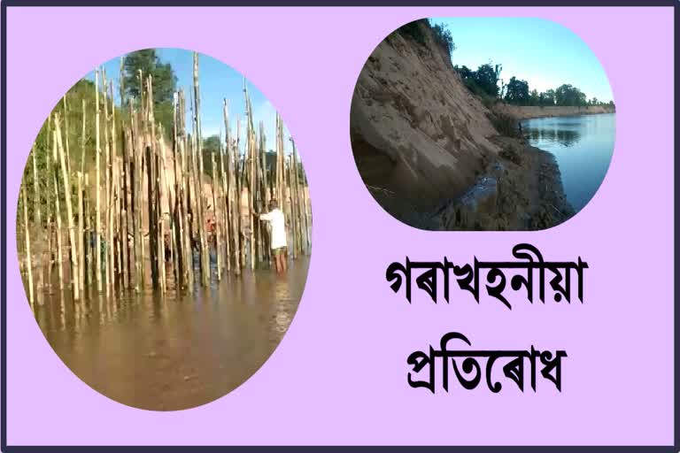 villagers-trying-to-stop-erosion-in-jonai