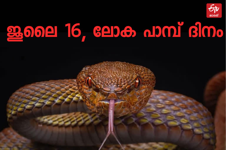 world snake day  july 16 world snake day  world snake day details  ലോക പാമ്പ് ദിനം  ലോക പാമ്പ് ദിനം അറിയേണ്ടതെല്ലാം  ജൂലൈ 16 ലോക പാമ്പ് ദിനം