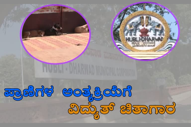 Animals electrical cremation unit in hubli