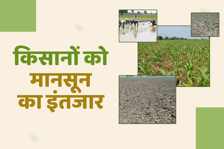 बारिश में देरी से खरीफ की बुवाई प्रभावित, Farmers upset due to lack of rain