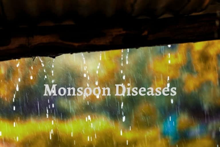 Monsoon Virus