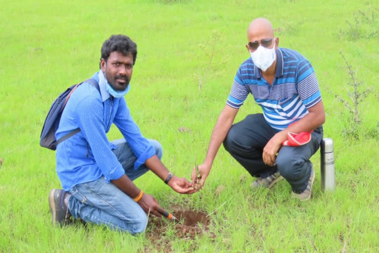 అనంతగిరి కొండల్లో కొత్త జాతి మొక్కను గుర్తించిన శాస్త్రవేత్తలు