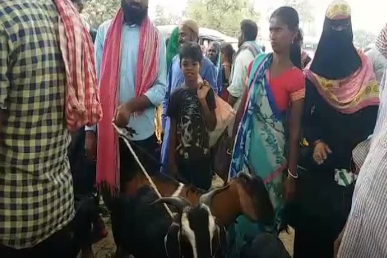 goat business affected due to coronavirus on eid ul adha in gaya