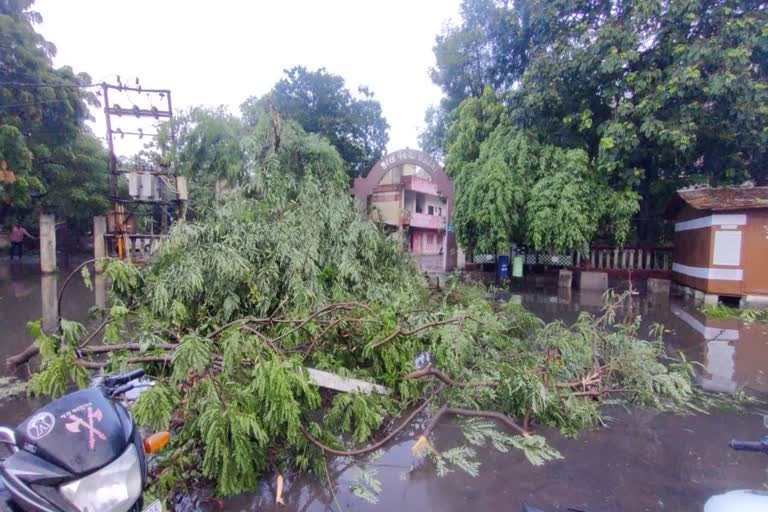 Jamnagar Rain: ભારે પવન સાથે વરસાદ,