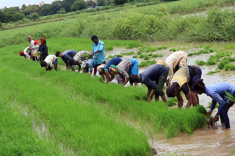 Chances of rain in Chhattisgarh from July 20