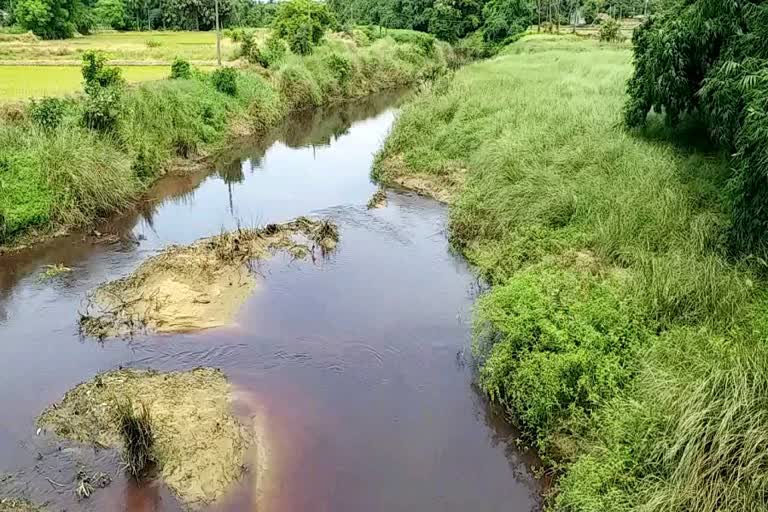 হুগলি জেলায় দূষণে মুহ্যমান ঘিয়া নদী ৷